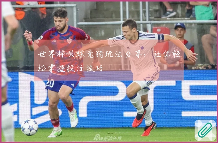 世界杯买球竞猜玩法分享，让你轻松掌握投注技巧