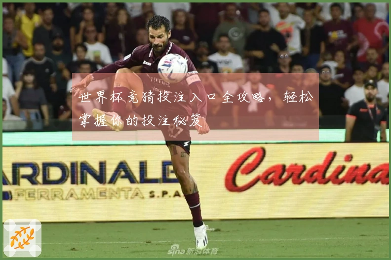 世界杯竞猜投注入口全攻略，轻松掌握你的投注秘笈