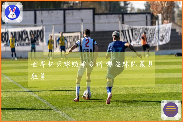 世界杯买球赔率分析 哪些球队最具胜算