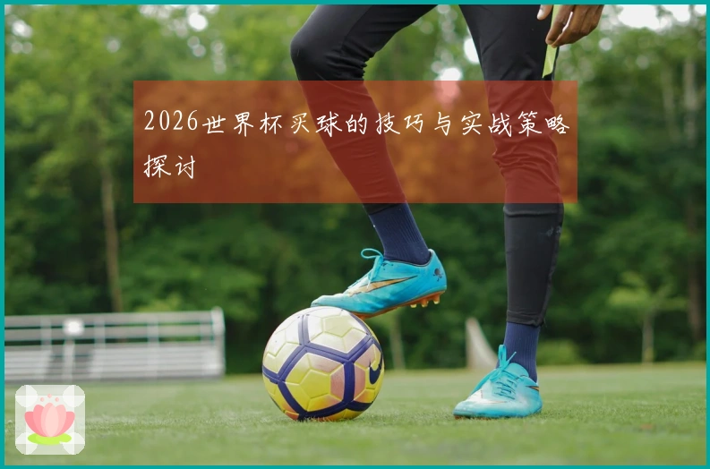 2026世界杯买球的技巧与实战策略探讨