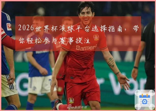 2026世界杯滚球平台选择指南，带你轻松参与赛事投注