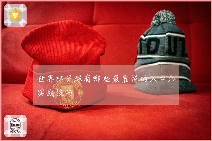 世界杯买球有哪些最靠谱的入口和实战技巧