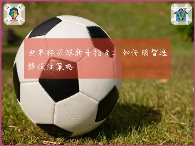 世界杯买球新手指南：如何明智选择投注策略