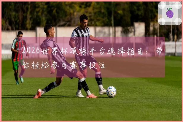 2026世界杯滚球平台选择指南，带你轻松参与赛事投注