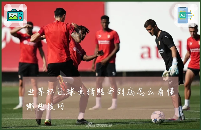 世界杯让球竞猜赔率到底怎么看懂哪些技巧