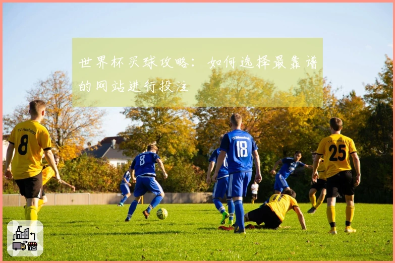 世界杯买球攻略：如何选择最靠谱的网站进行投注
