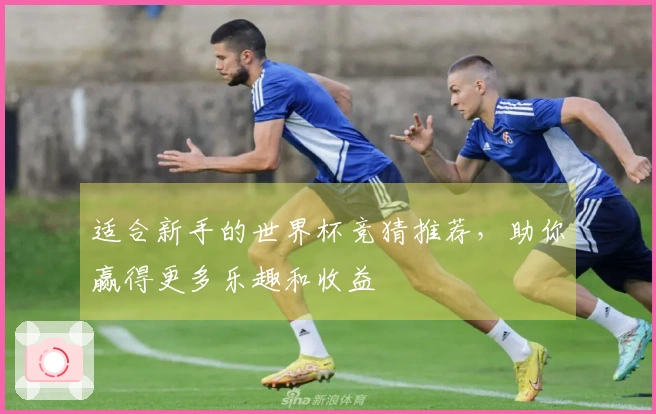 适合新手的世界杯竞猜推荐，助你赢得更多乐趣和收益