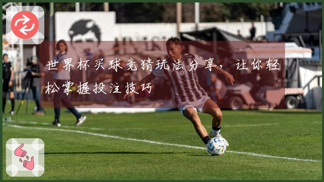 世界杯买球竞猜玩法分享，让你轻松掌握投注技巧